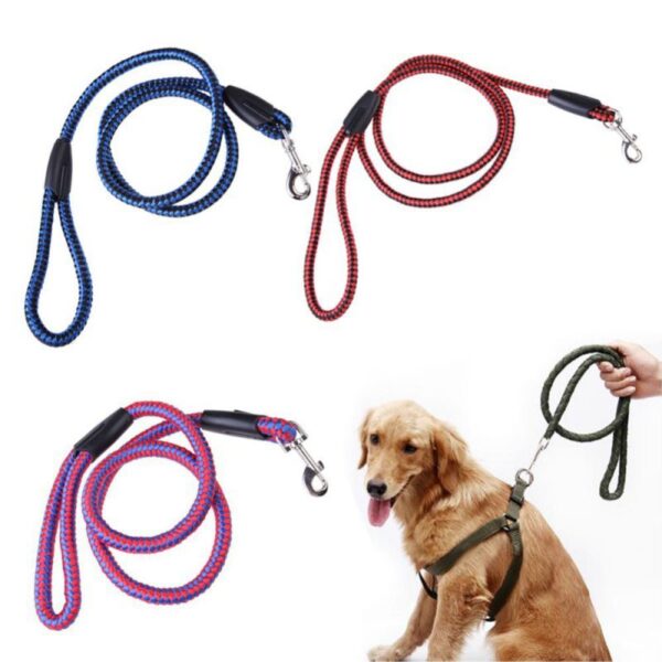 Round Nylon Dog Leash – 5 Feet