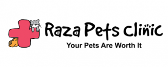 logo raza