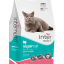 Internutri_VigorCat_3D-1.png