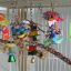 PICT2615toys_lg.jpg