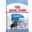 new-royal-canin-chien-maxi-junior.jpg