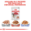 royal-canin-adult-instinctive-gravy-wet-cat-food-pouches___6.png