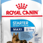 royal_canin_maxi_starter.png